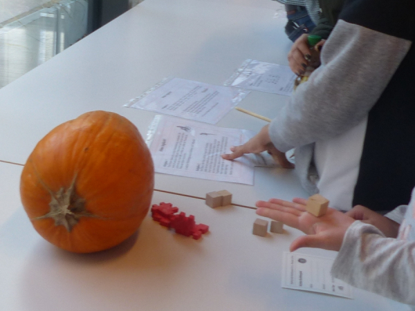 Kürbis-Schätzspiel