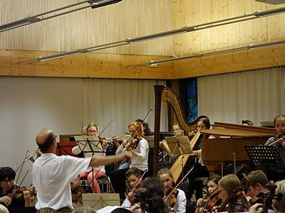 Bilder des Sommerkonzerts 2014_8