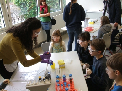 NaWi-Tag in Lampertheim: Stauen und selbst Ausprobieren